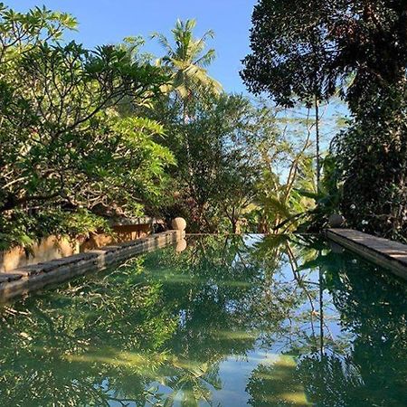 ウナワトゥナ Sri Yoga Shala Bed & Breakfast エクステリア 写真