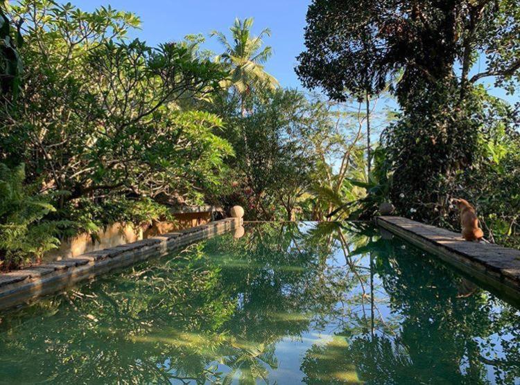 ウナワトゥナ Sri Yoga Shala Bed & Breakfast エクステリア 写真